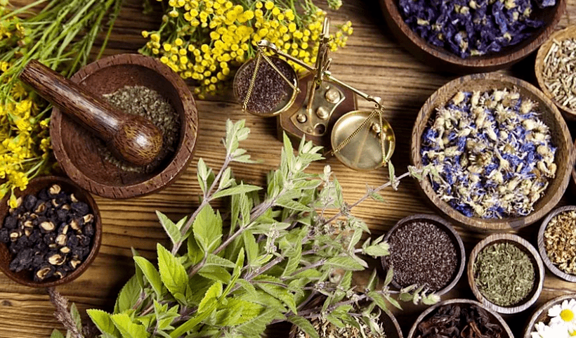 Using folk remedies to treat parasites