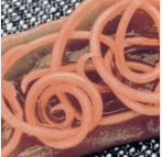 Human worms