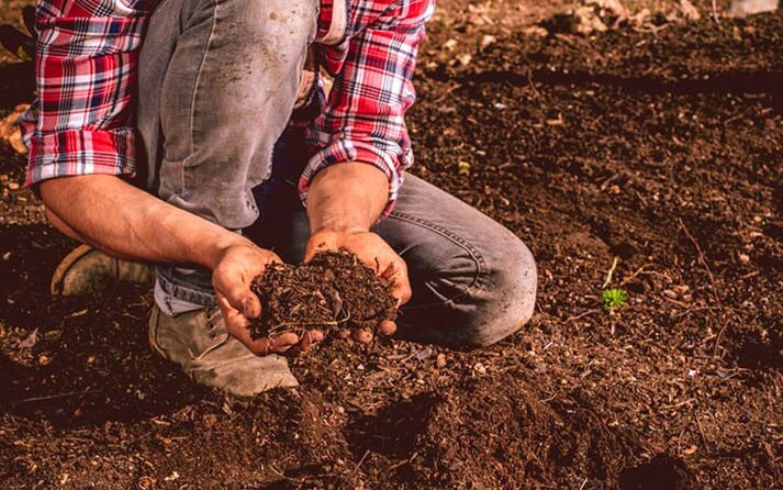 Parasites are infected through soil