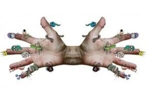 Microbial parasites on human hands