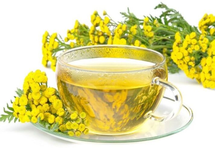 Tansy decoction to treat internal parasites