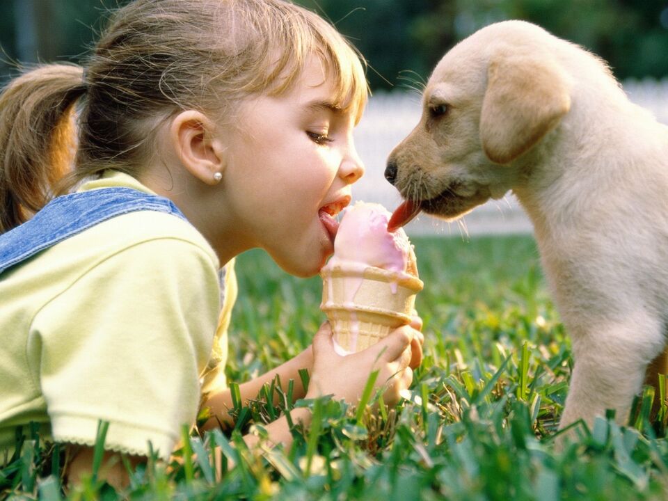 Girl and dog infected with parasite after eating ice cream