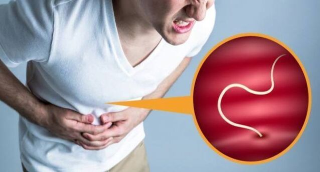 Abdominal pain is a symptom of internal parasites